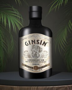 Ginsin